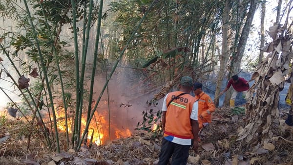 Selama Kemarau di Banyumas, Terjadi 55 Kebakaran pada 55,7 Hektare Lahan