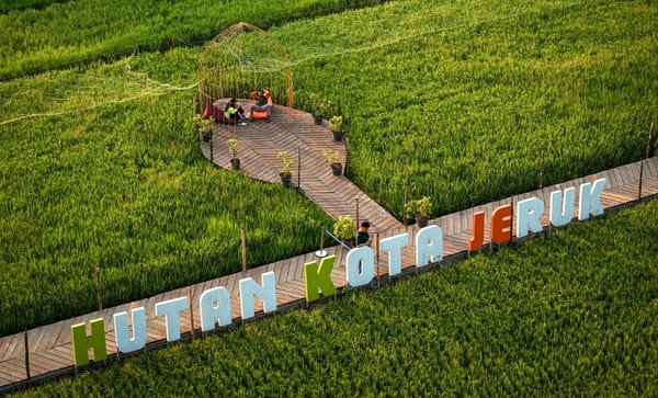 Garden Fest Hidupkan Hutan Kota Jeruk, Surabaya Uji Wisata Malam Berbasis Edufarm
