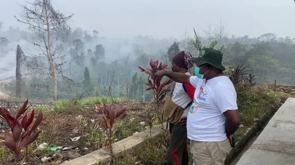 Kebakaran TPA Di Kota Sorong Diprediksi Enam Bulan, Perlu Penanganan Terpadu