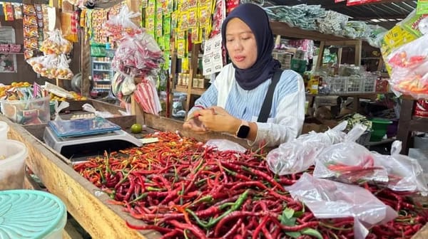 Empat Bulan Dilanda Kemarau, Harga Cabai Di Kabupaten Teluk Bintuni Melonjak