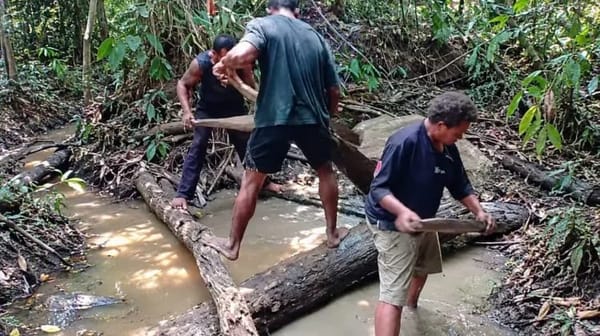 Pelepah Sagu Jadi Alat Timba Tradisional Masyarakat Wambon Di Boven Digoel
