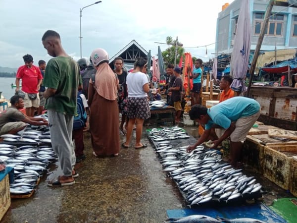 Hasil Tangkapan Nelayan Cukup Penuhi Kebutuhan Sehari-hari Masyarakat Papua