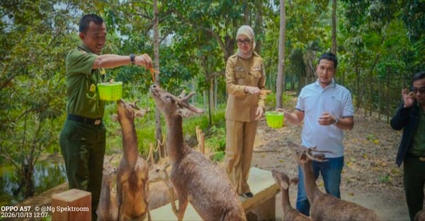 Wagub Jihan Dorong Konsep Pengelolaan Hutan Berbasis Ekonomi, Melalui Pengembangan Komoditas Unggulan