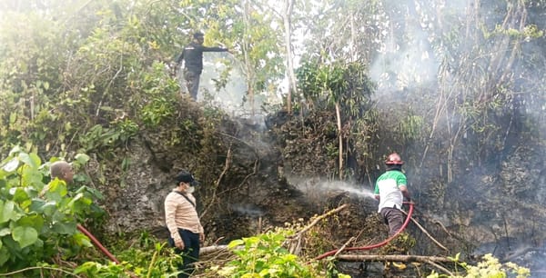 Karhutla Siwang Hanguskan 6 Hektare, Dinas Kehutanan Maluku Pantau 369 Hotspot