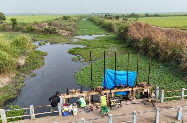 8.000 Ha Sawah di Lampung Selamat dari Intrusi Air Laut