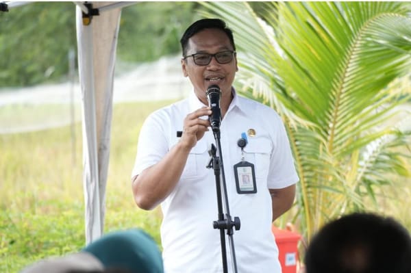 Bibit Cabai dari Pemerintah Hemat Belanja Dapur Keluarga