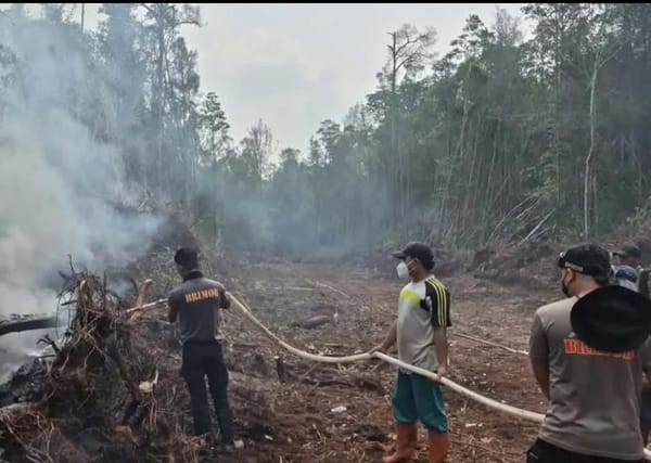 Brimob Polda Sulsel Bantu Padamkan Karhutla di Rakumpit Palangka Raya
