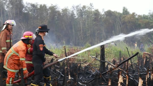Kapolda Kalsel Tinjau Pemadaman Karhutla di Handil Bakti