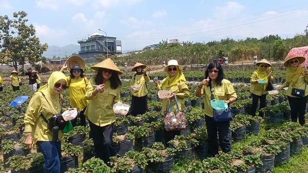 Petik Stroberi di Batu, Jawara-Jawarawati Pensiunan RRI Nikmati Sensasi Baru di Tengah Tantangan Panen