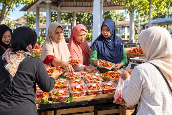 Harga Cabai di Lumajang Bergerak Naik Akibat Terbatasnya Pasokan Produksi
