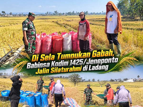 Di Sela Tumpukan Gabah,Babinsa Kodim 1425 Jeneponto Jalin Silaturrahmi di Ladang