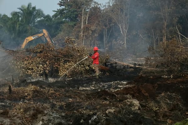 Penanganan Karhutla Maksimal, Riau Dikeluarkan Dari Daftar Prioritas Nasional