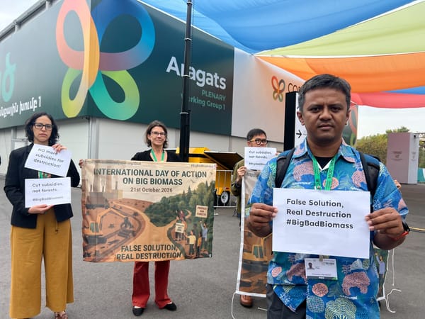 Biomassa Rusak Siklus Ekologi, Tak Bisa Dianggap Solusi Iklim